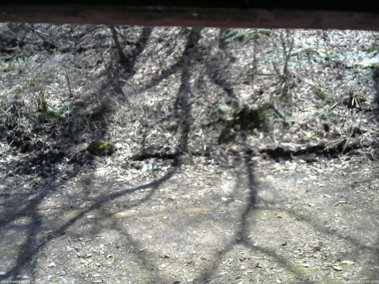 長野県菅平高原 ゆたか山荘 東側(坂下) 2026/04/16 12:00