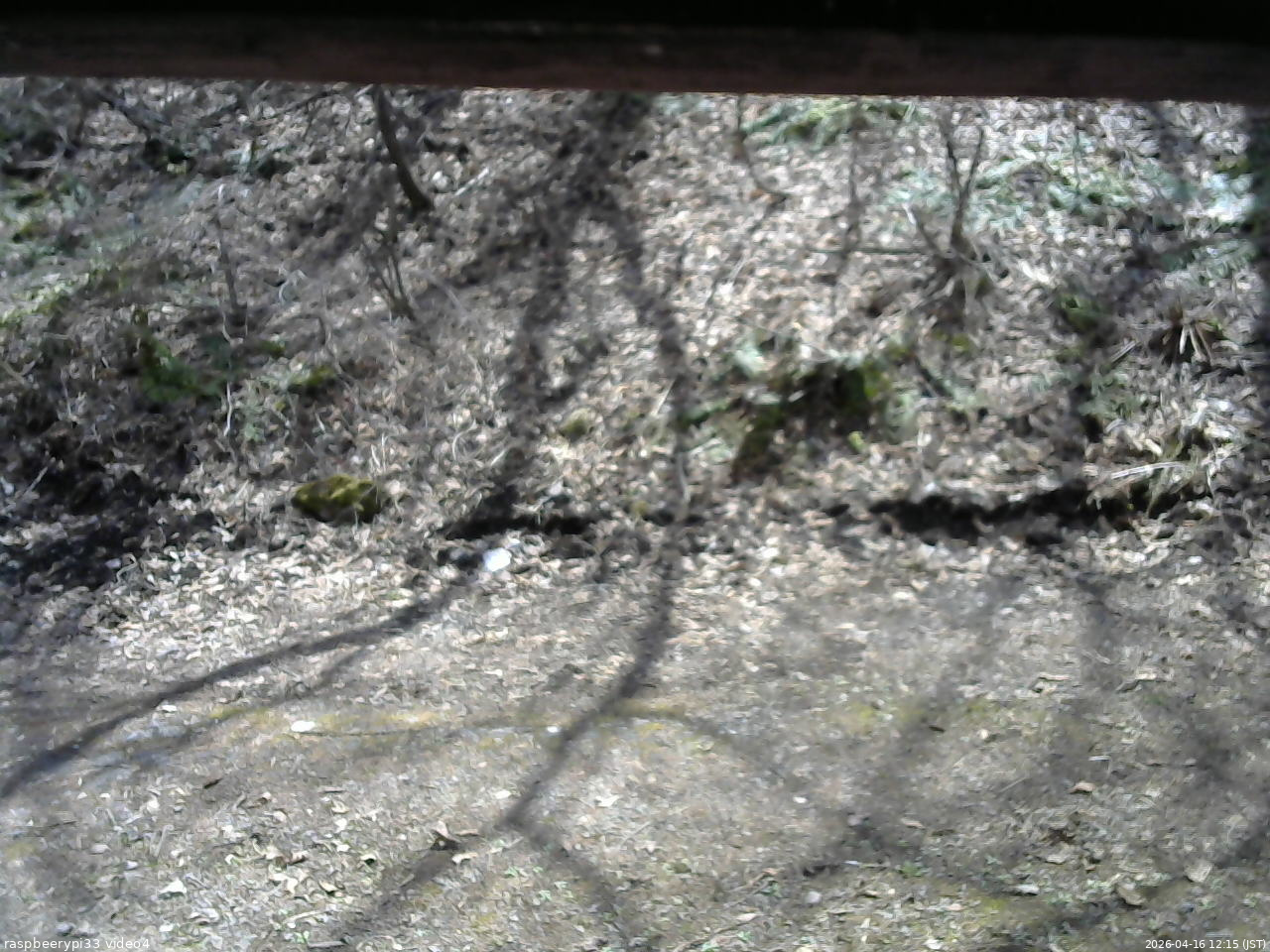 長野県菅平高原 ゆたか山荘 東側(坂下) 2026/04/16 12:15