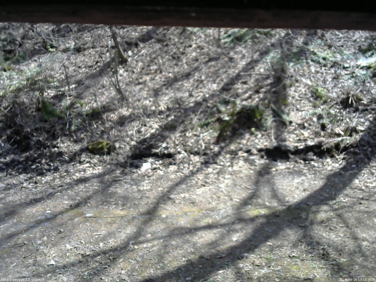 長野県菅平高原 ゆたか山荘 東側(坂下) 2026/04/16 13:15