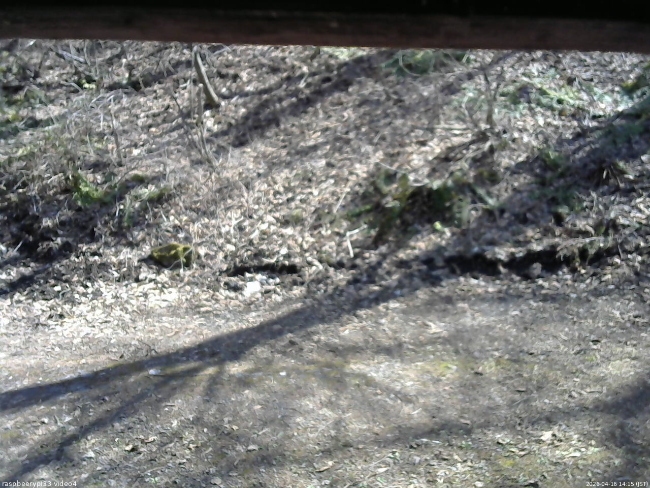 長野県菅平高原 ゆたか山荘 東側(坂下) 2026/04/16 14:15