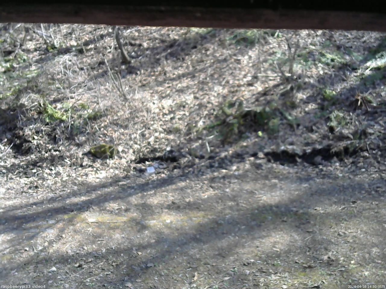 長野県菅平高原 ゆたか山荘 東側(坂下) 2026/04/16 14:30