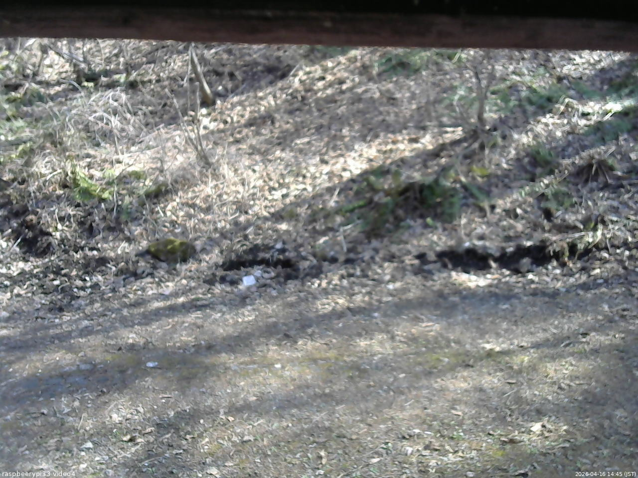 長野県菅平高原 ゆたか山荘 東側(坂下) 2026/04/16 14:45
