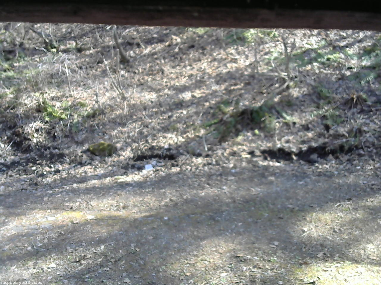 長野県菅平高原 ゆたか山荘 東側(坂下) 2026/04/16 15:00