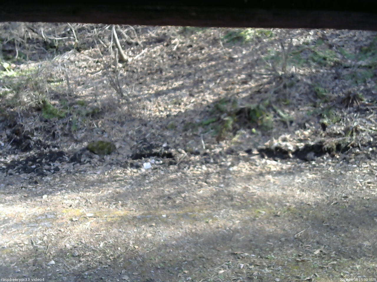 長野県菅平高原 ゆたか山荘 東側(坂下) 2026/04/16 15:30