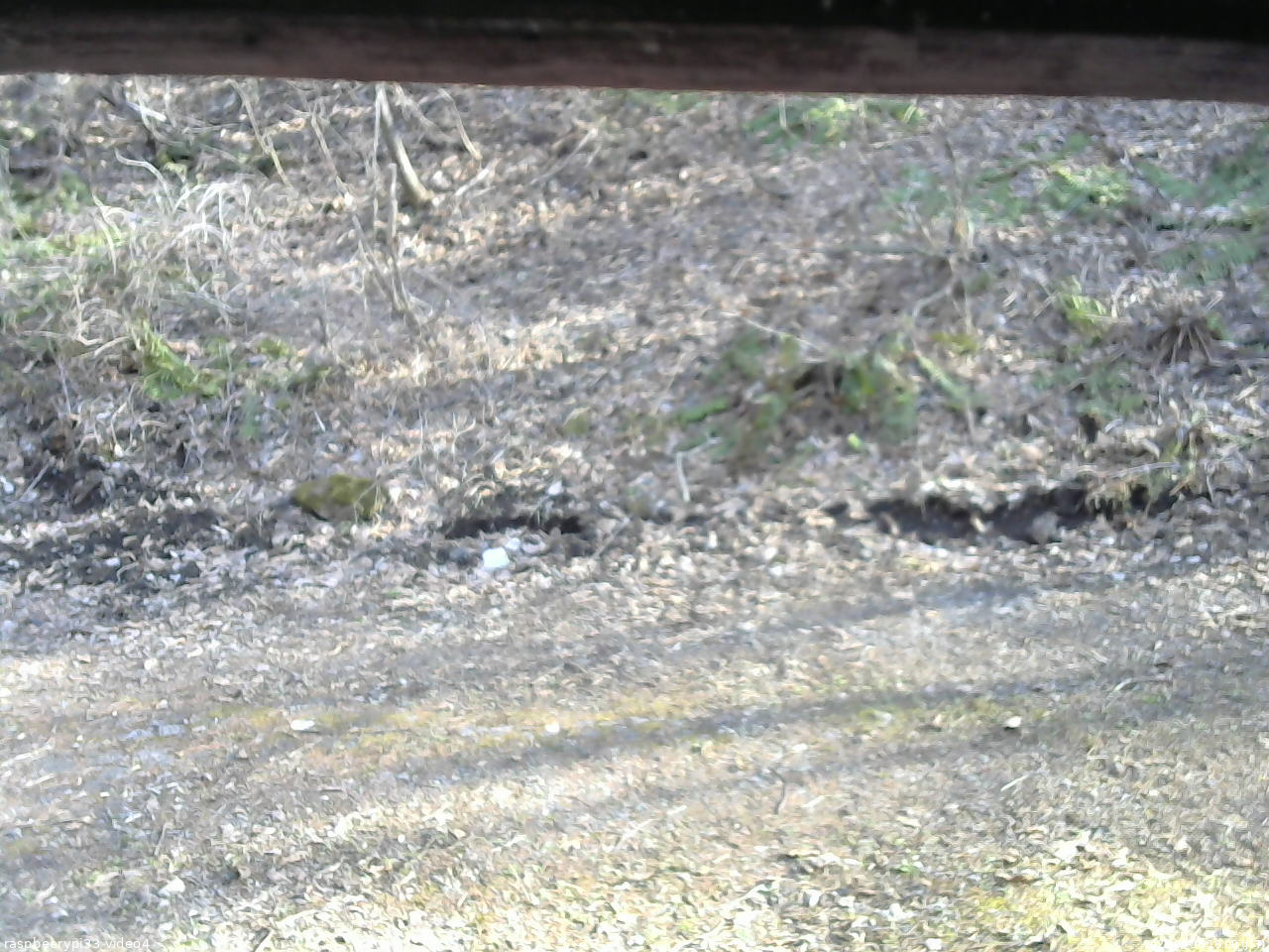 長野県菅平高原 ゆたか山荘 東側(坂下) 2026/04/16 16:00