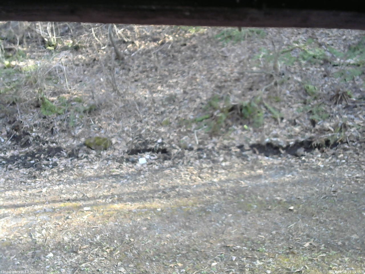 長野県菅平高原 ゆたか山荘 東側(坂下) 2026/04/16 16:15