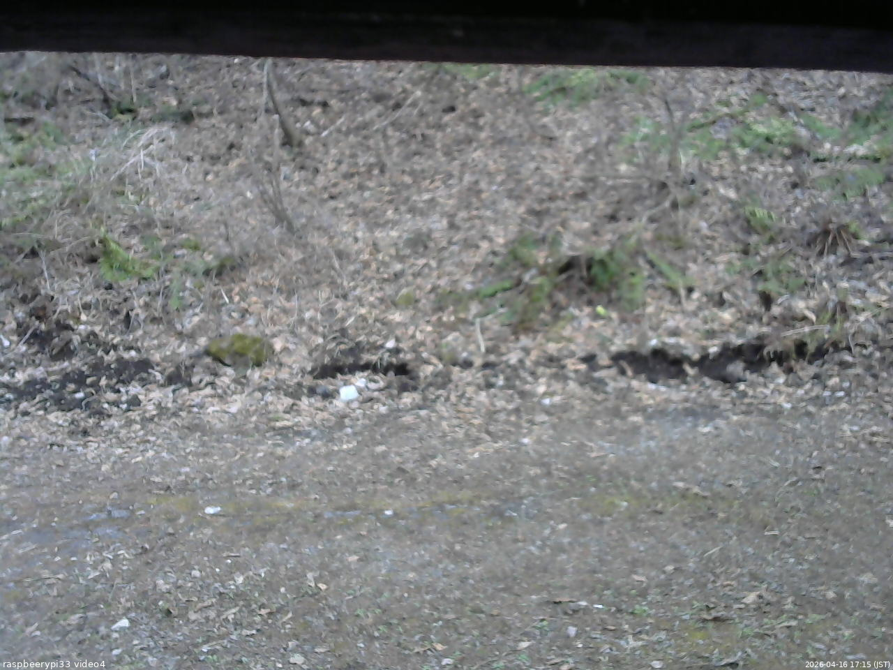 長野県菅平高原 ゆたか山荘 東側(坂下) 2026/04/16 17:15