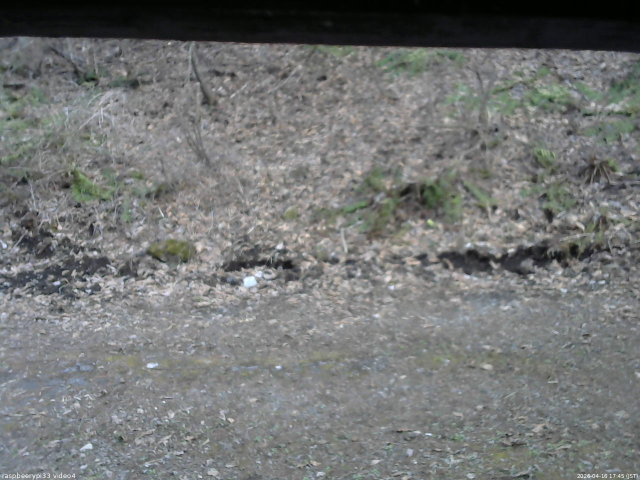 長野県菅平高原 ゆたか山荘 東側(坂下) 2026/04/16 17:45