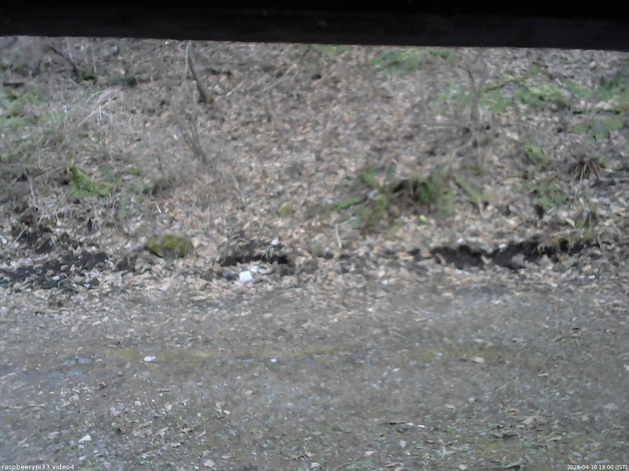 長野県菅平高原 ゆたか山荘 東側(坂下) 2026/04/16 18:00