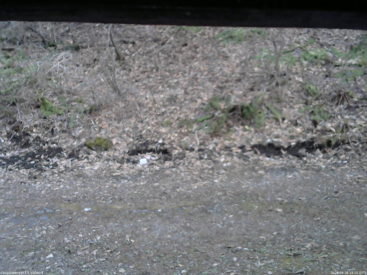 長野県菅平高原 ゆたか山荘 東側(坂下) 2026/04/16 18:15