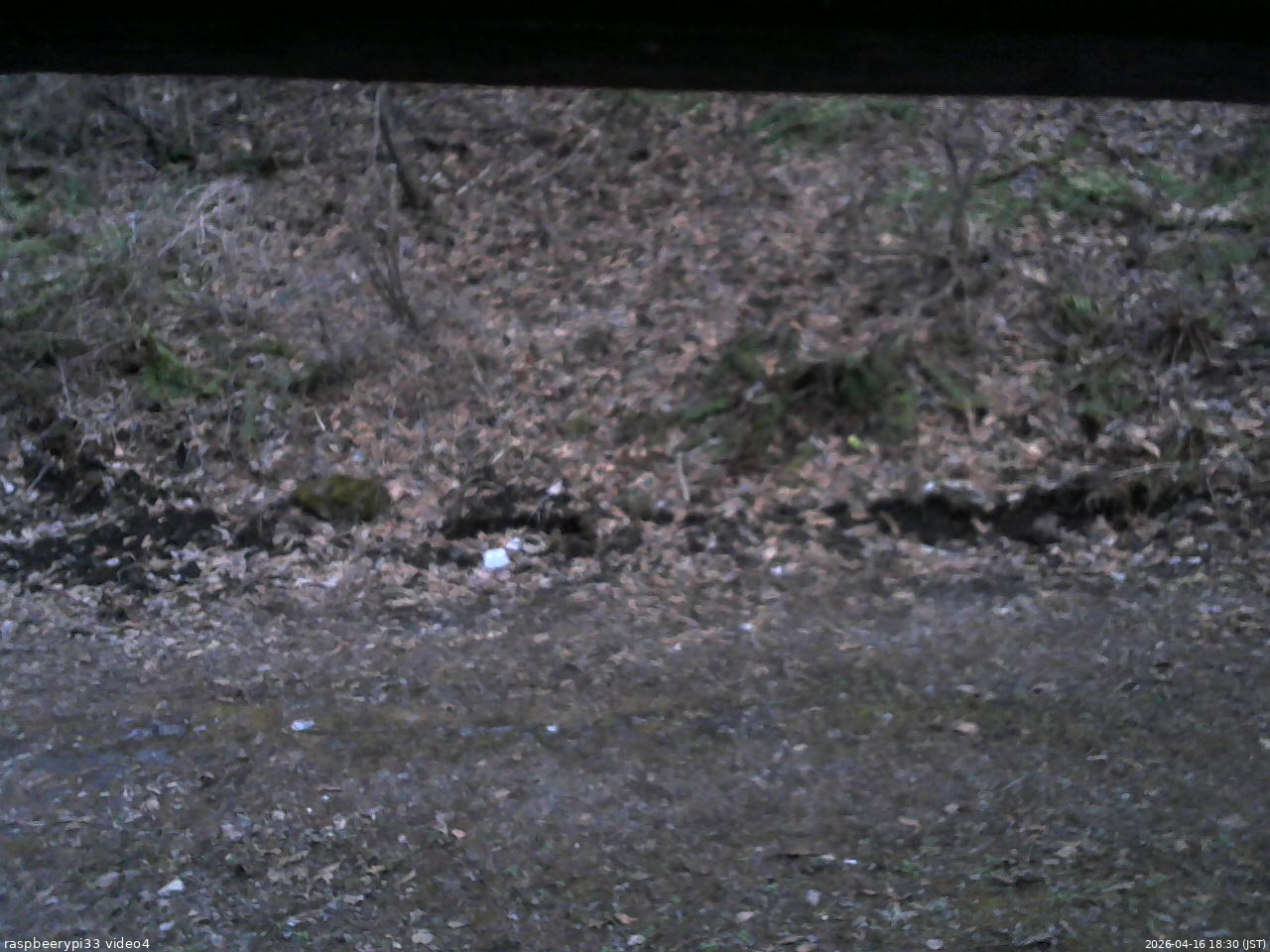 長野県菅平高原 ゆたか山荘 東側(坂下) 2026/04/16 18:30