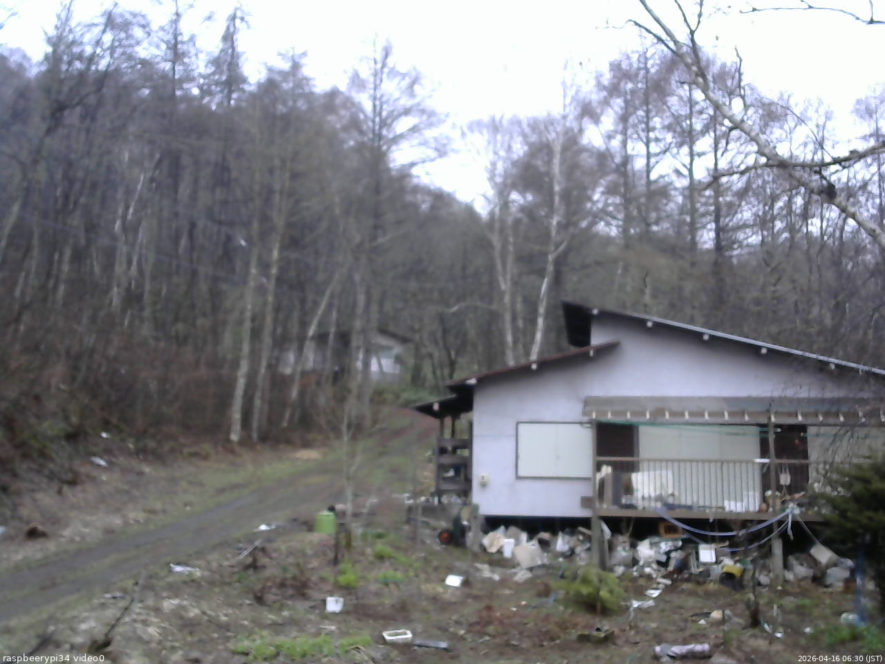 長野県菅平高原 ゆたか山荘 西側(坂上) 2026/04/16 06:30