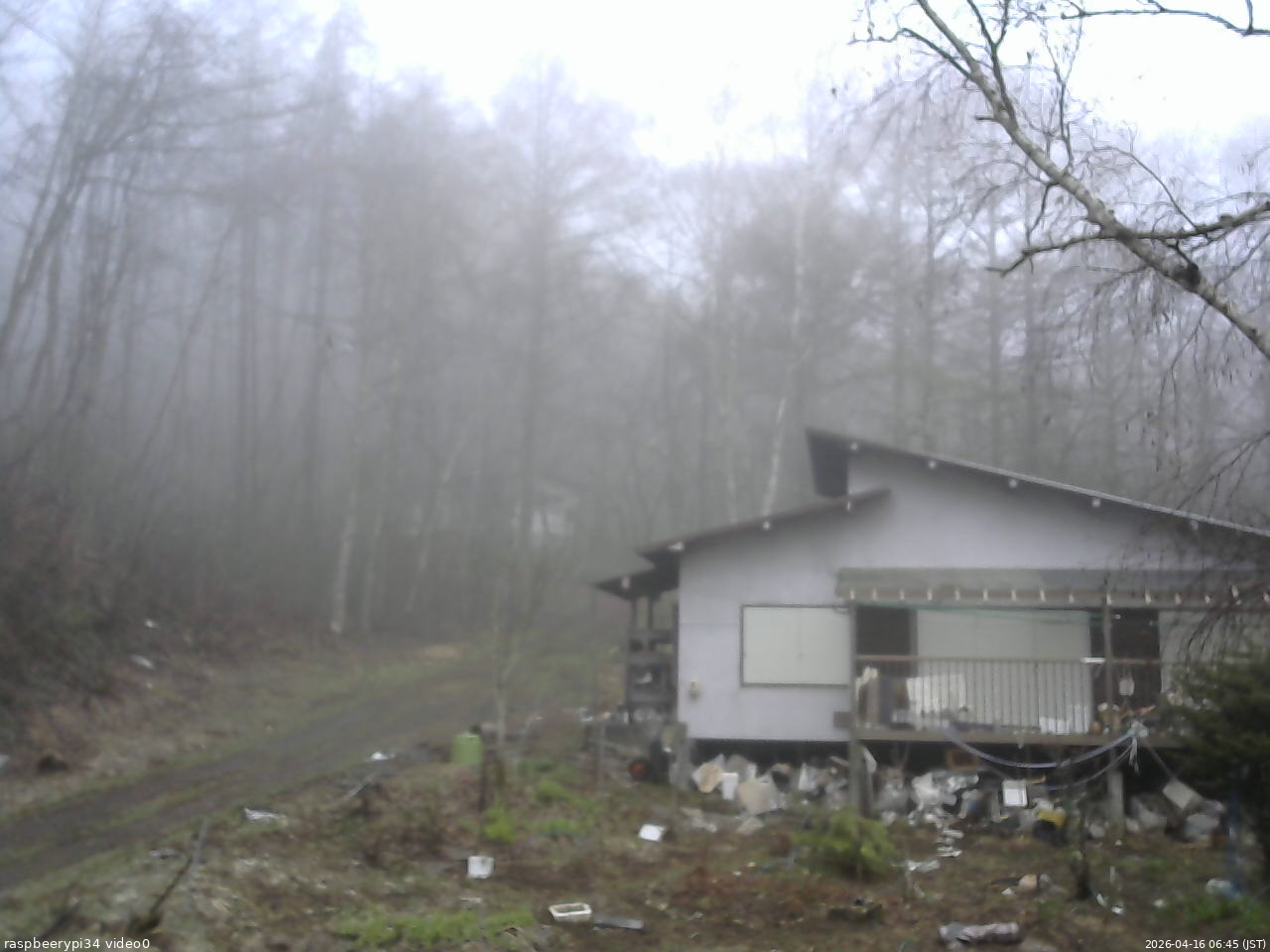 長野県菅平高原 ゆたか山荘 西側(坂上) 2026/04/16 06:45
