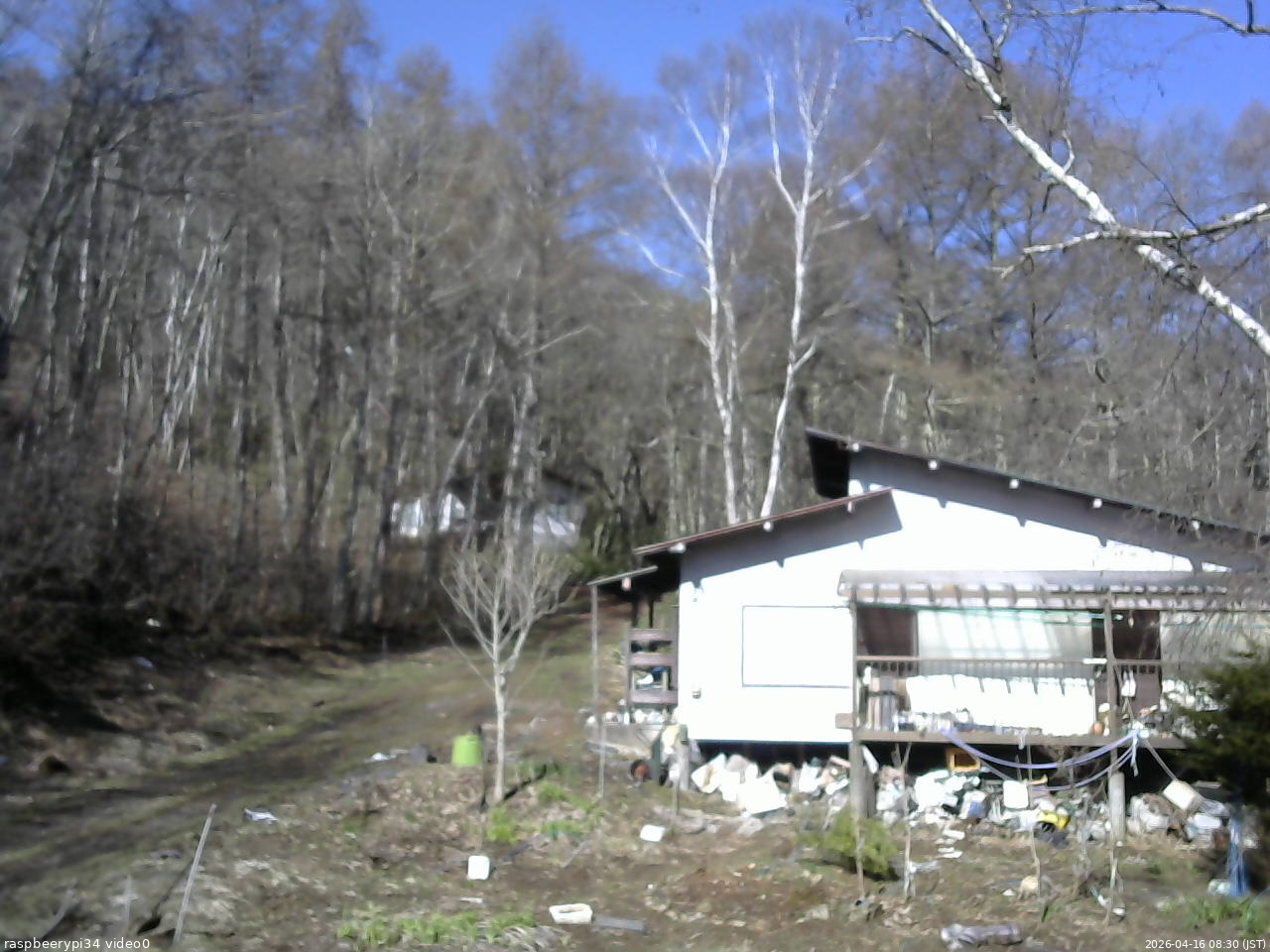 長野県菅平高原 ゆたか山荘 西側(坂上) 2026/04/16 08:30