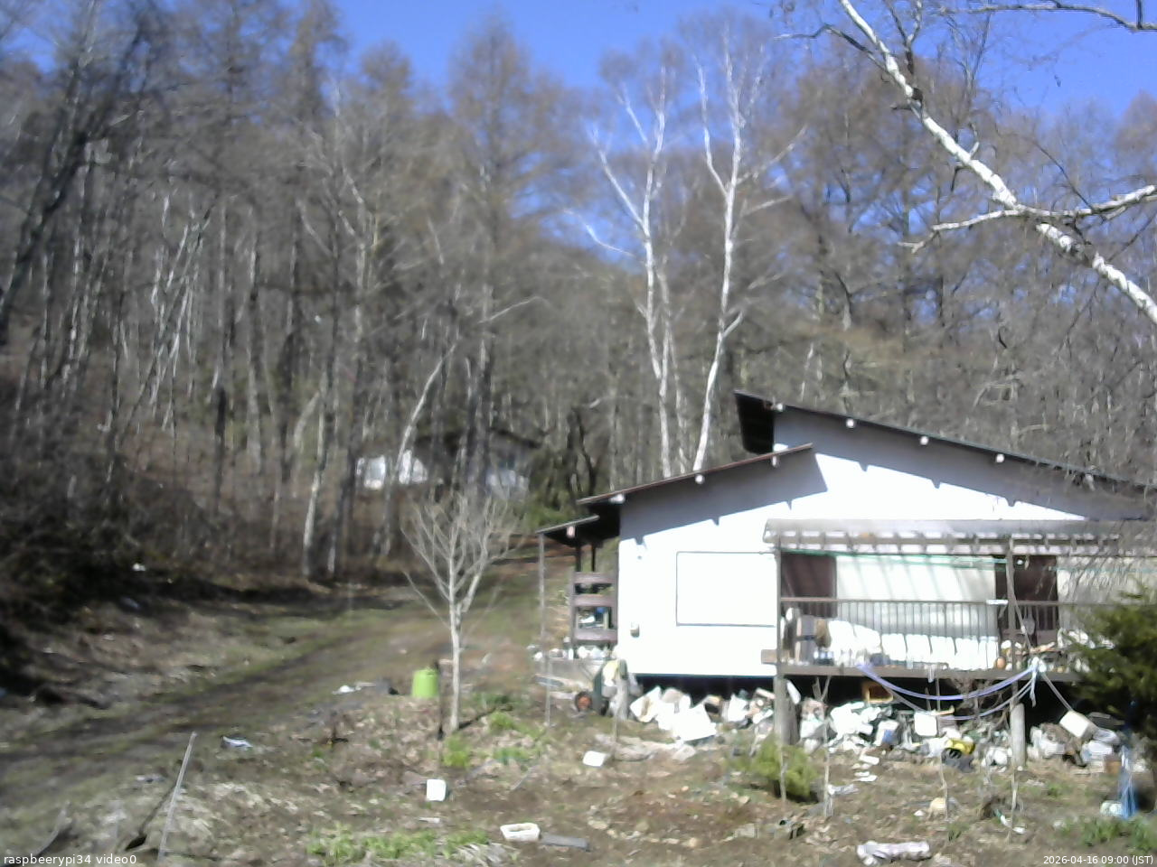 長野県菅平高原 ゆたか山荘 西側(坂上) 2026/04/16 09:00