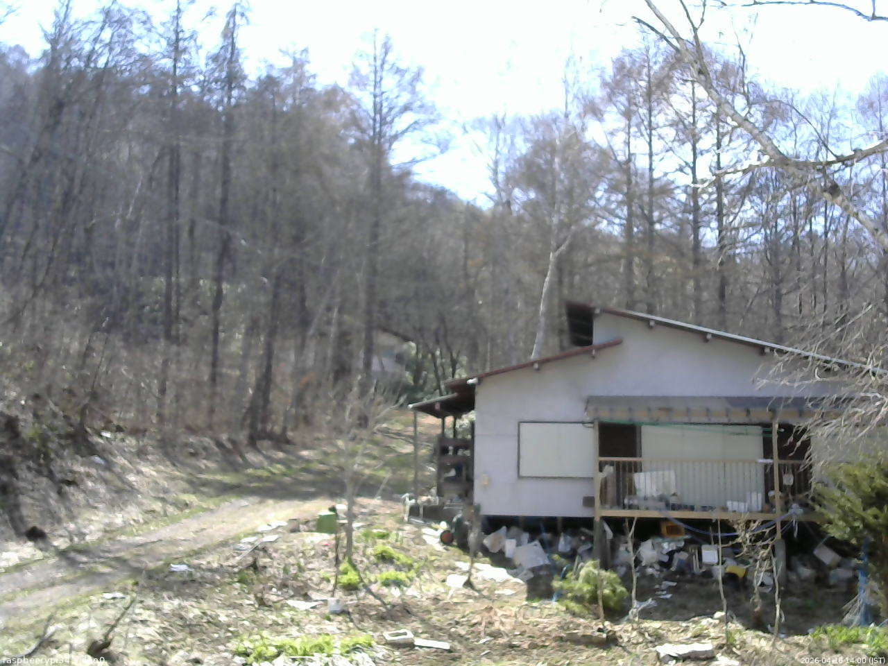 長野県菅平高原 ゆたか山荘 西側(坂上) 2026/04/16 14:00