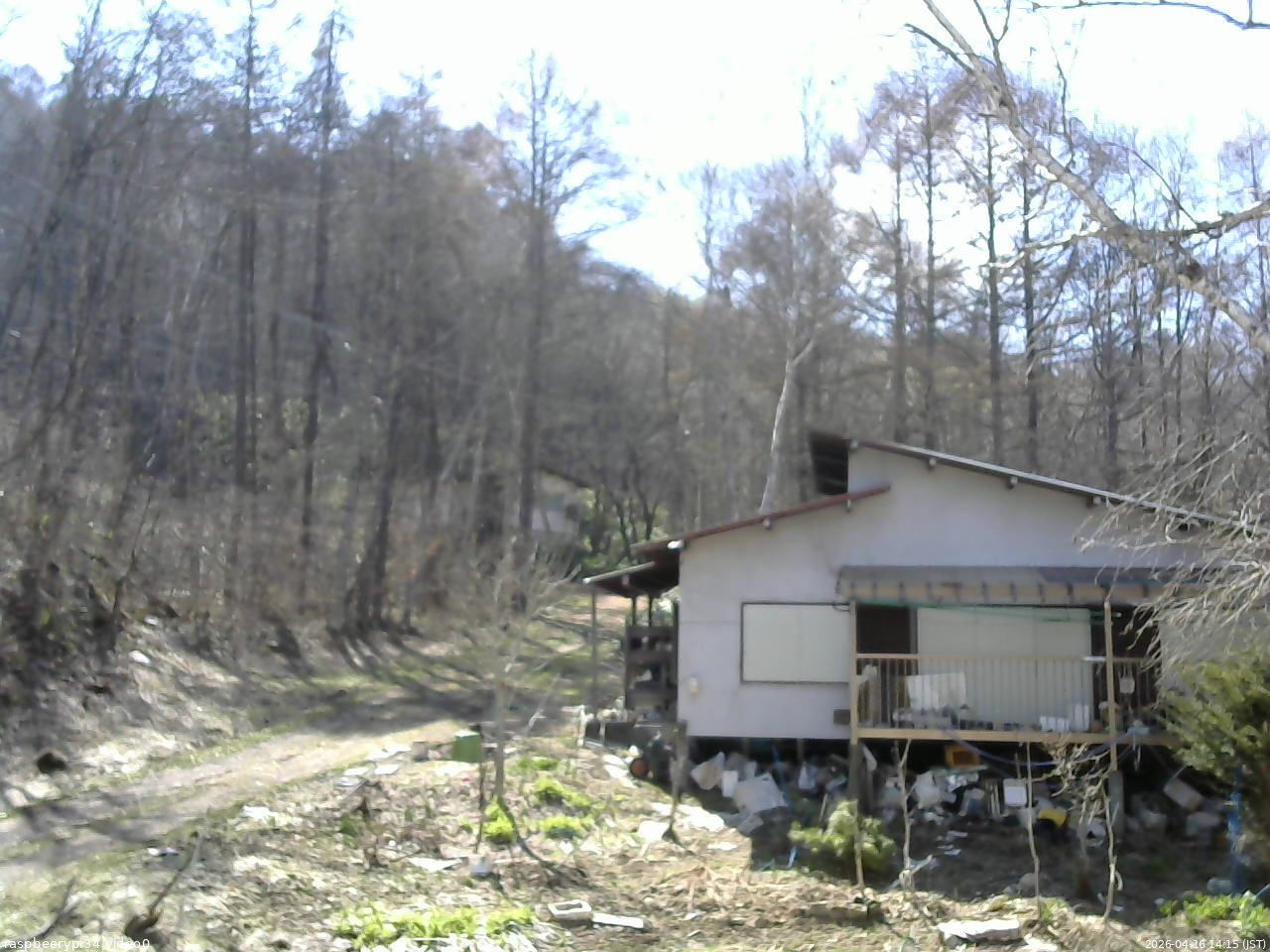 長野県菅平高原 ゆたか山荘 西側(坂上) 2026/04/16 14:15