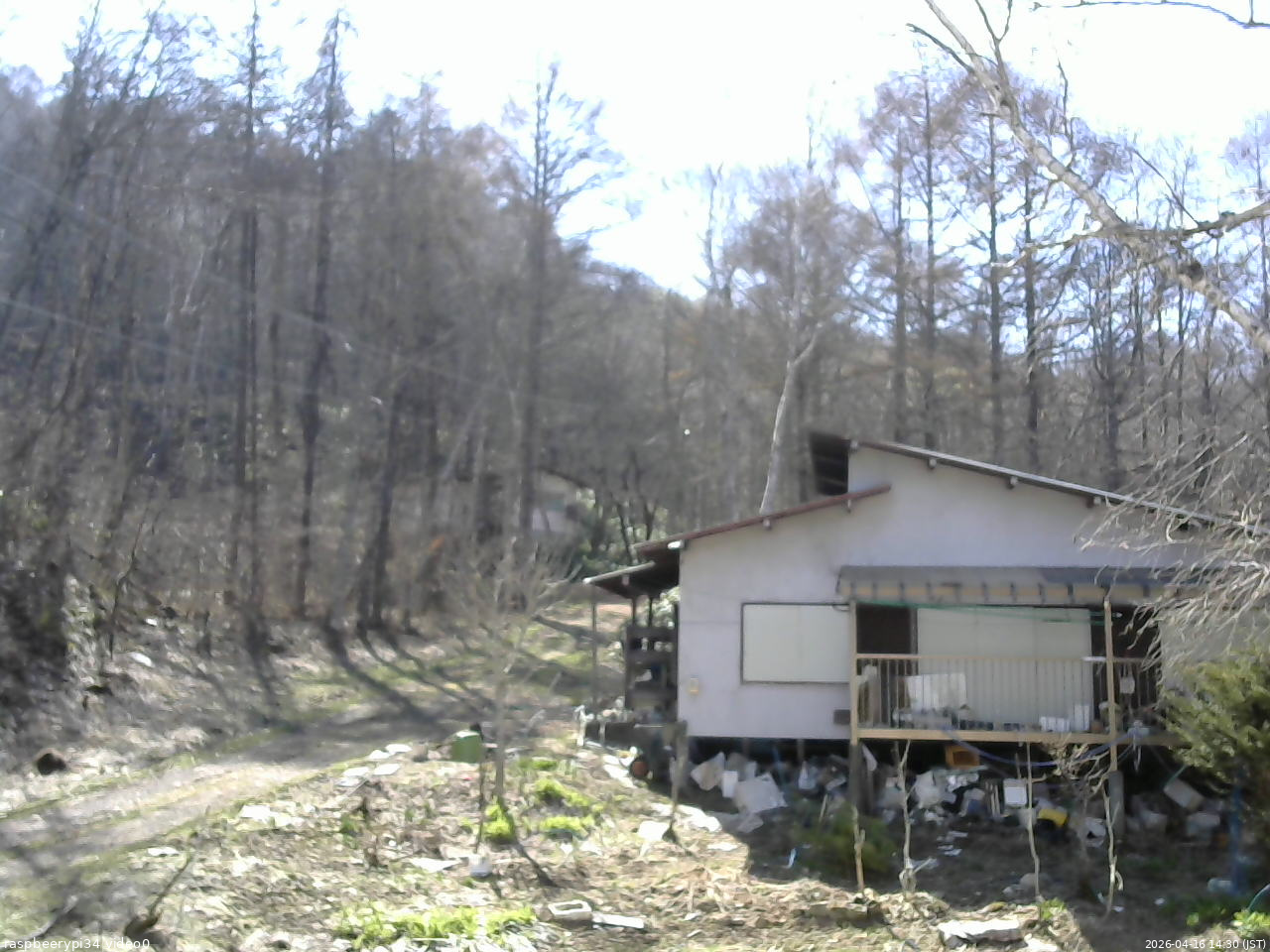 長野県菅平高原 ゆたか山荘 西側(坂上) 2026/04/16 14:30