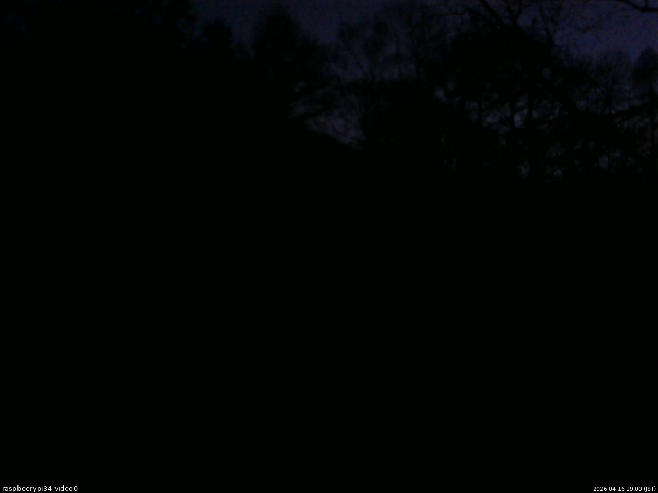 長野県菅平高原 ゆたか山荘 西側(坂上) 2026/04/16 19:00