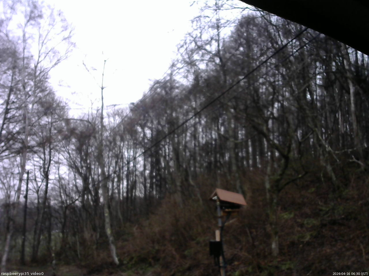 長野県菅平高原 ゆたか山荘 温度計 2026/04/16 06:30