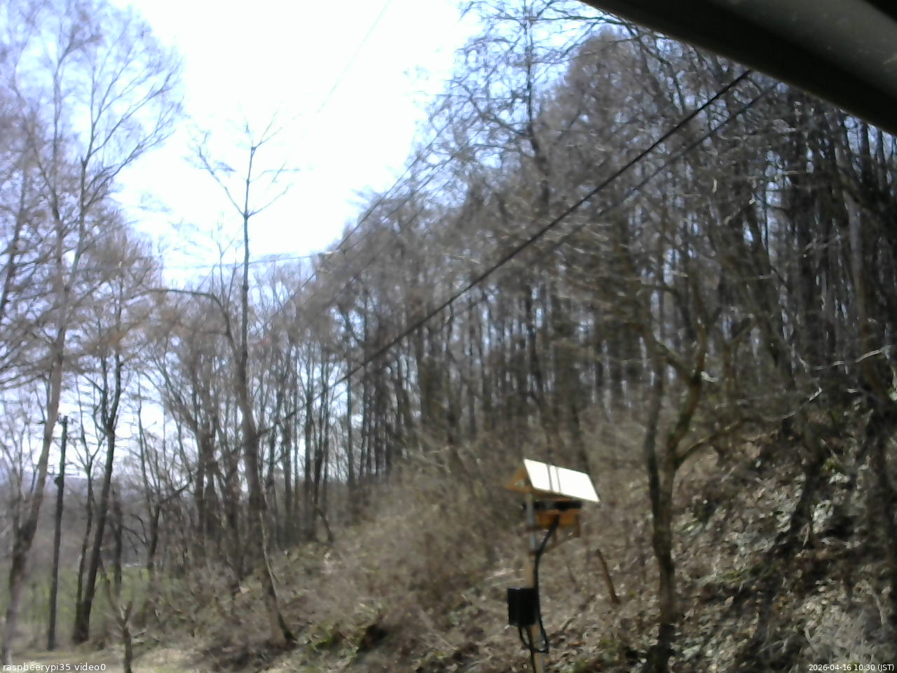 長野県菅平高原 ゆたか山荘 温度計 2026/04/16 10:30