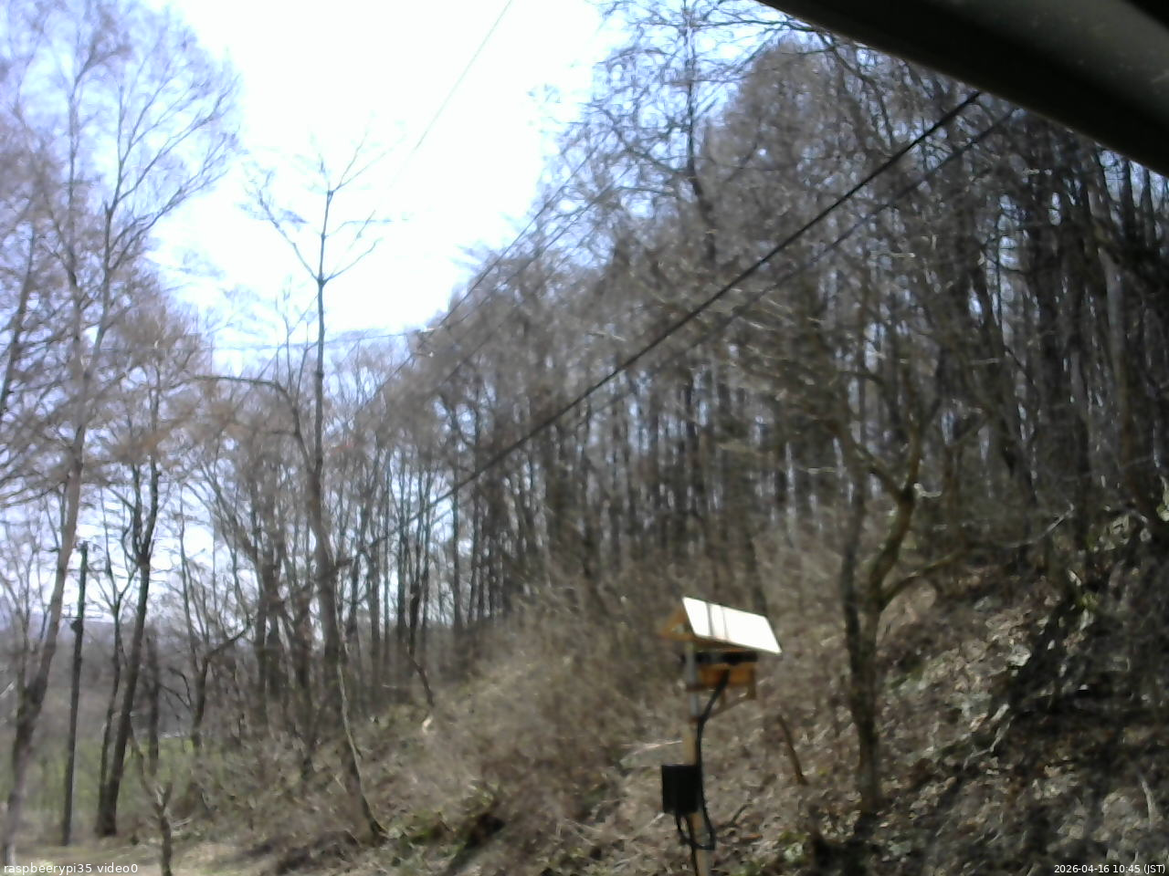 長野県菅平高原 ゆたか山荘 温度計 2026/04/16 10:45