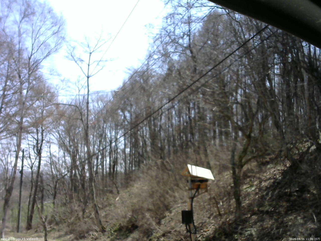長野県菅平高原 ゆたか山荘 温度計 2026/04/16 11:00