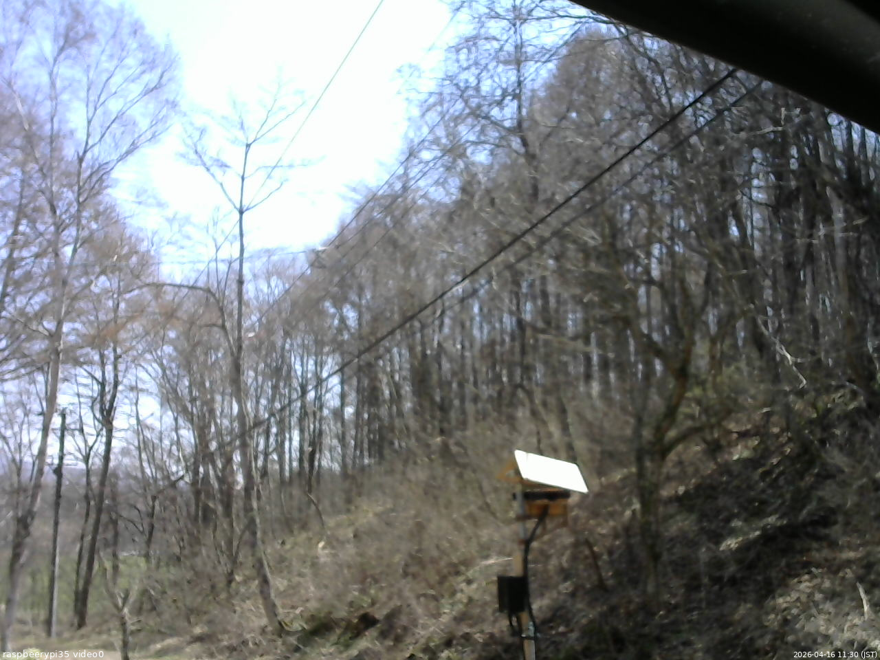 長野県菅平高原 ゆたか山荘 温度計 2026/04/16 11:30