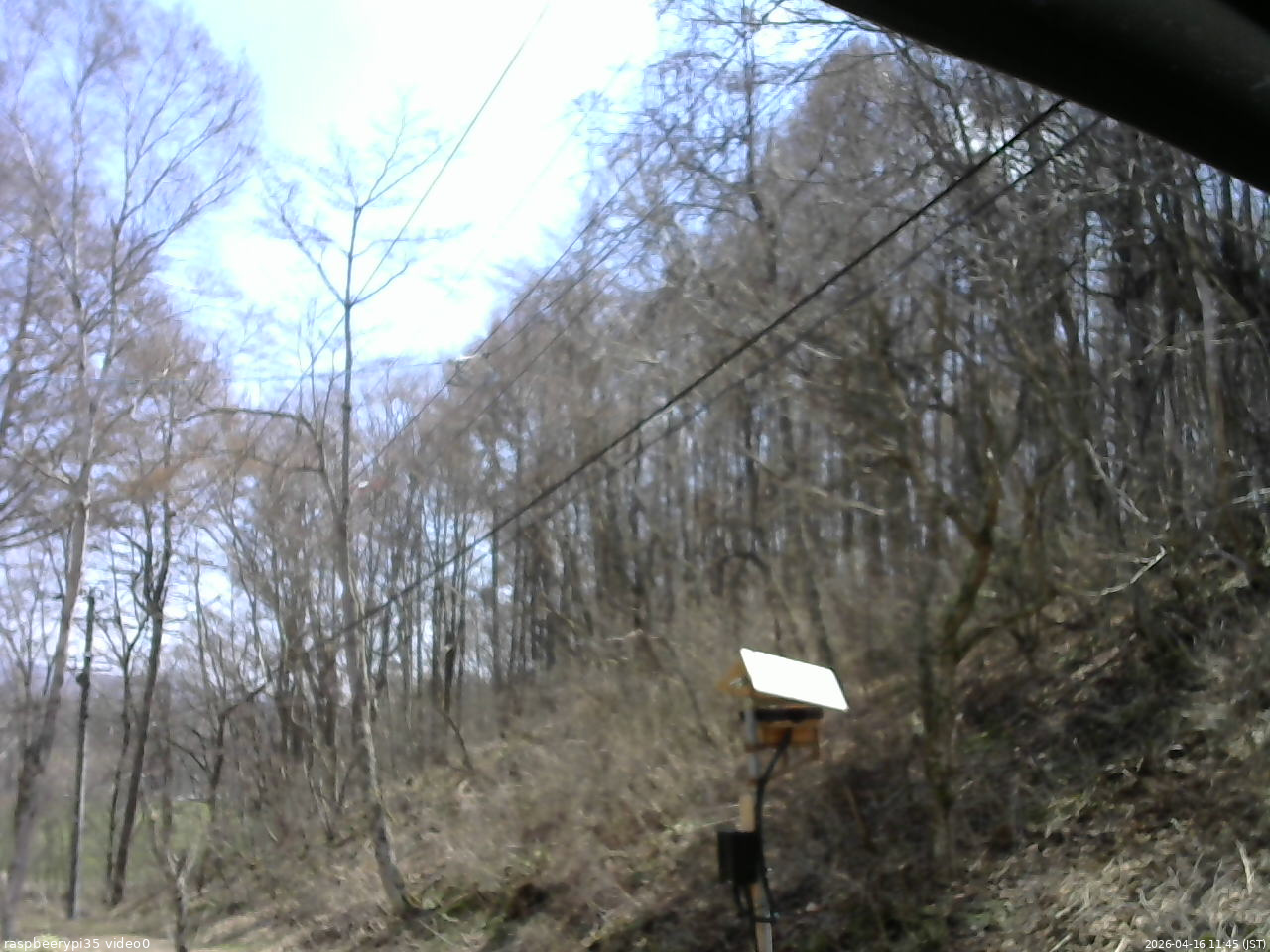 長野県菅平高原 ゆたか山荘 温度計 2026/04/16 11:45