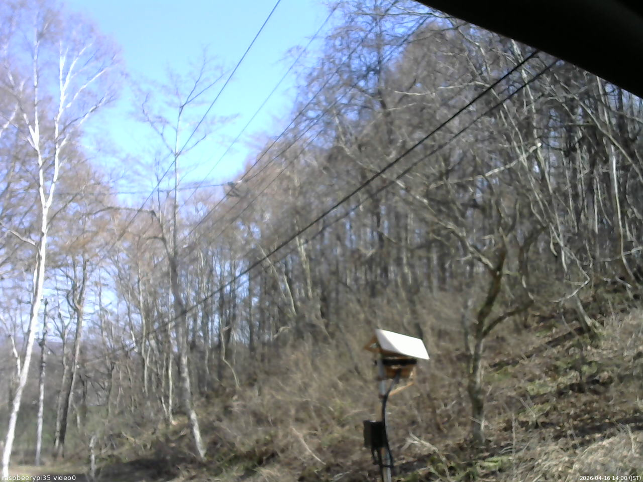 長野県菅平高原 ゆたか山荘 温度計 2026/04/16 14:00