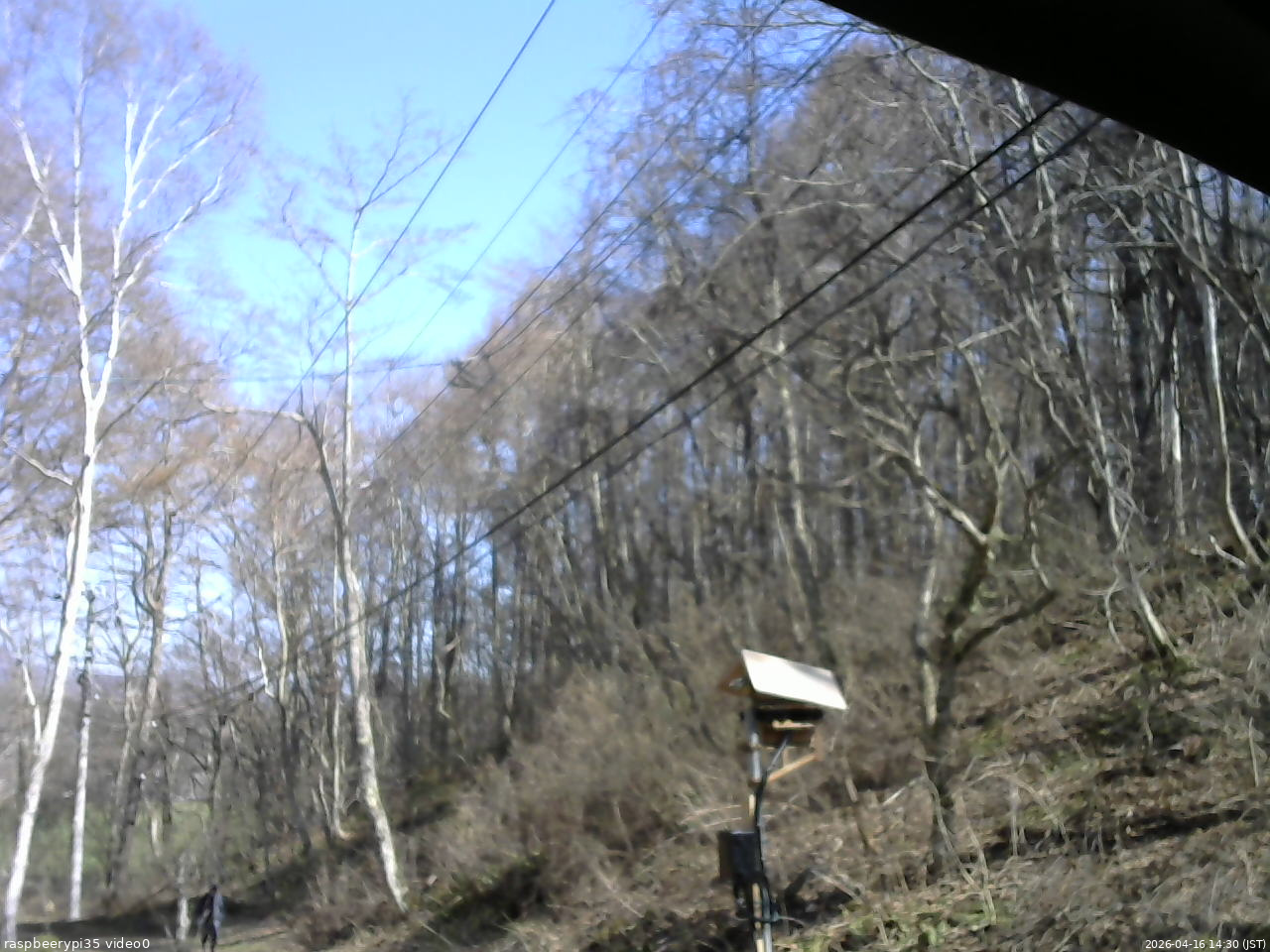 長野県菅平高原 ゆたか山荘 温度計 2026/04/16 14:30