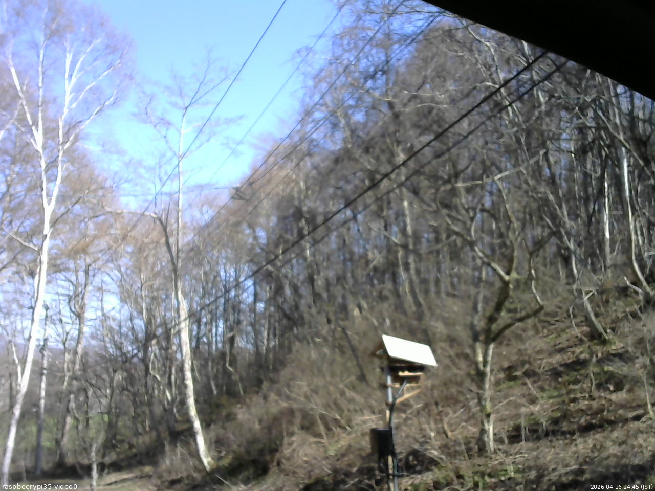 長野県菅平高原 ゆたか山荘 温度計 2026/04/16 14:45