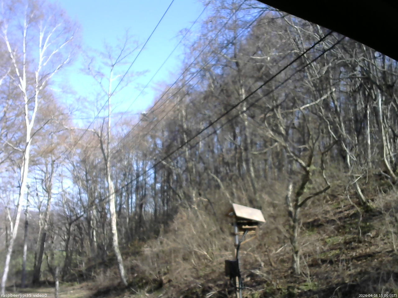 長野県菅平高原 ゆたか山荘 温度計 2026/04/16 15:00