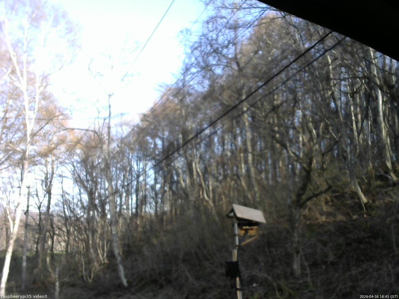 長野県菅平高原 ゆたか山荘 温度計 2026/04/16 16:45