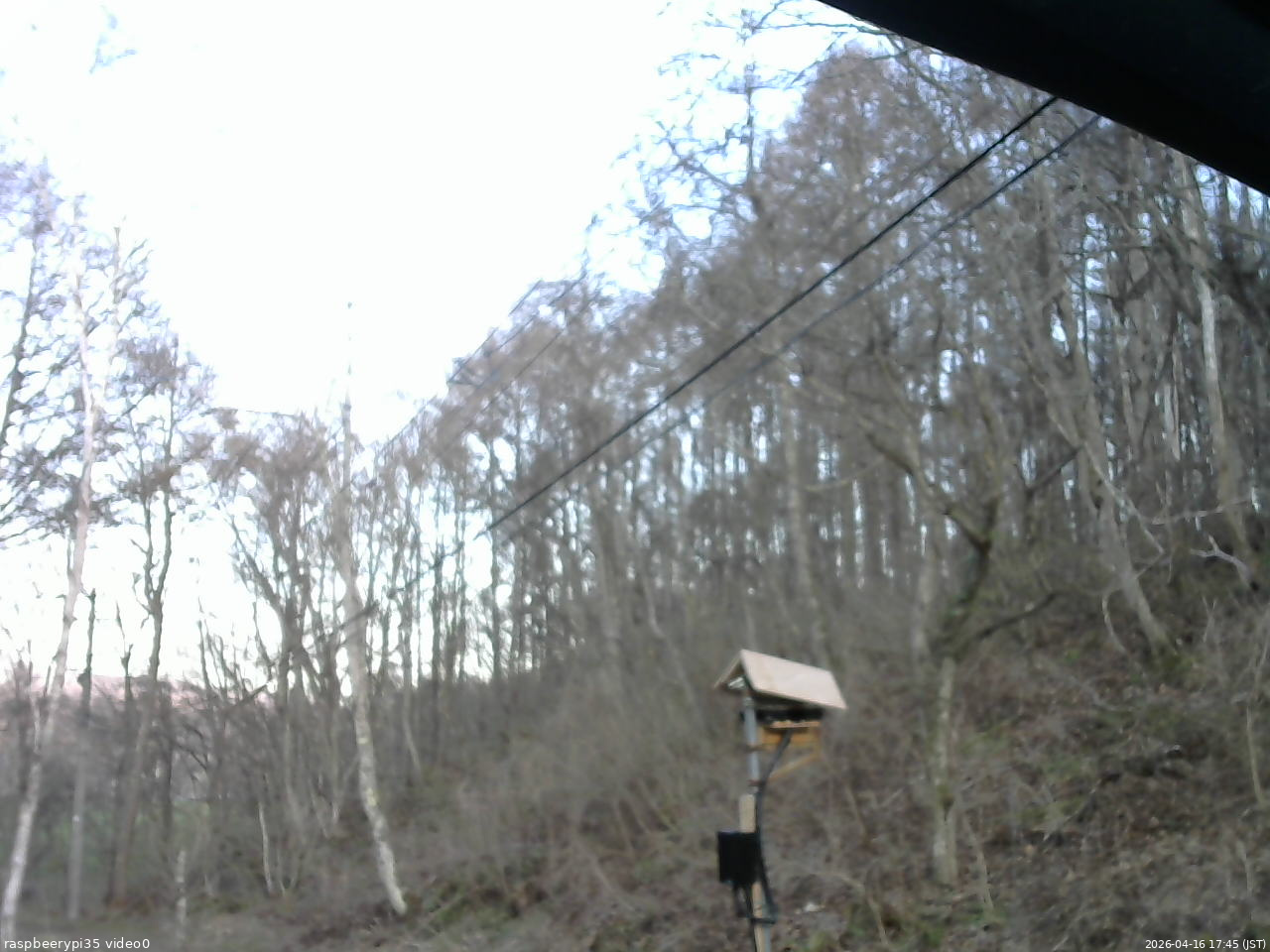 長野県菅平高原 ゆたか山荘 温度計 2026/04/16 17:45