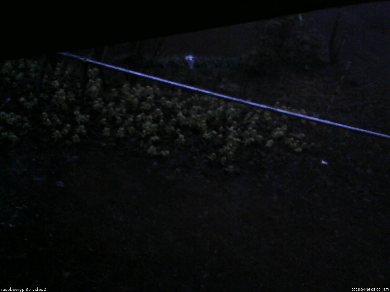 長野県菅平高原 ゆたか山荘 駐車場 2026/04/16 05:00