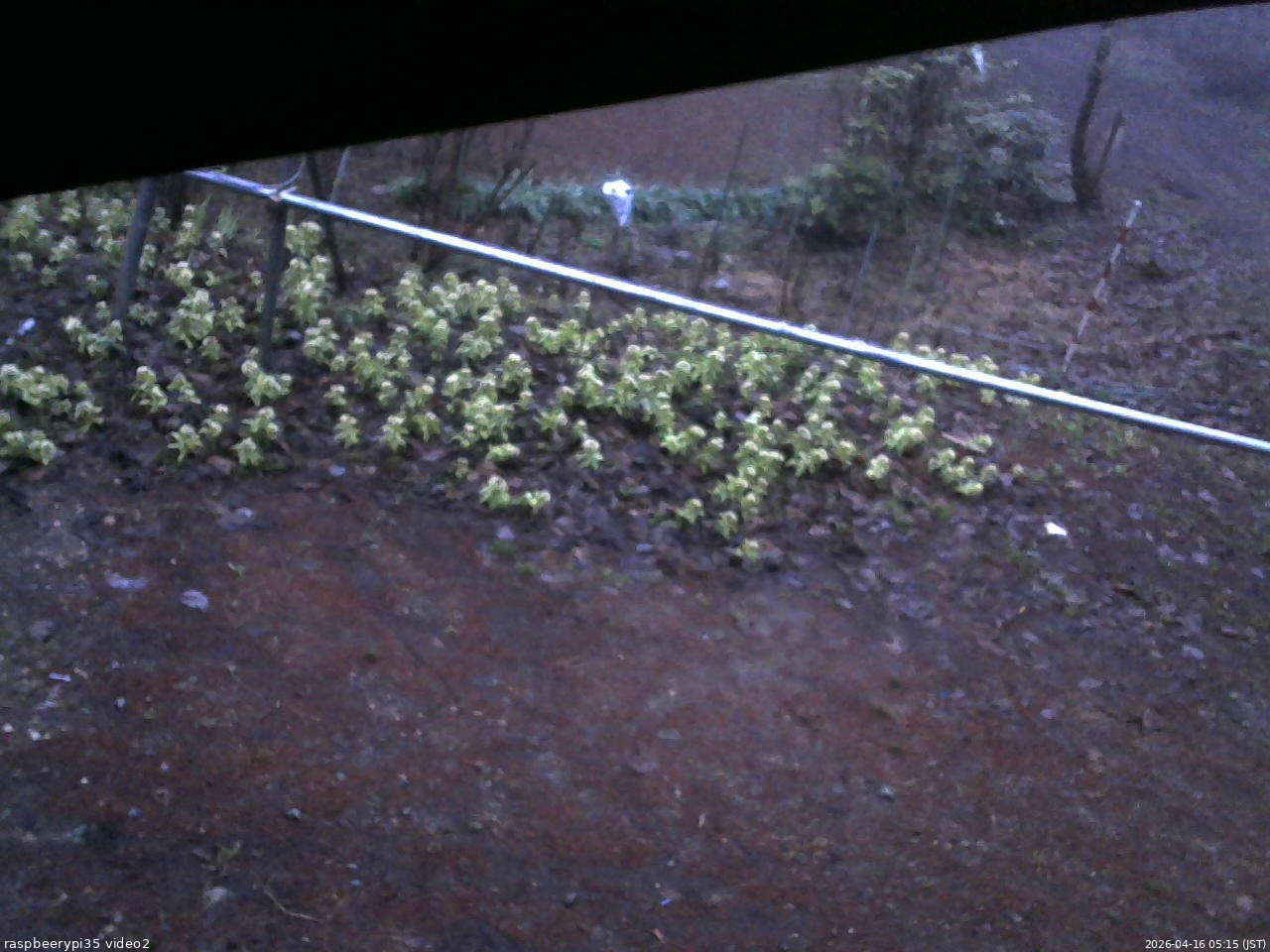 長野県菅平高原 ゆたか山荘 駐車場 2026/04/16 05:15