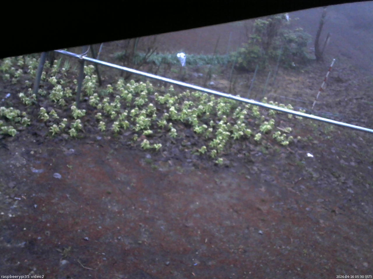 長野県菅平高原 ゆたか山荘 駐車場 2026/04/16 05:30