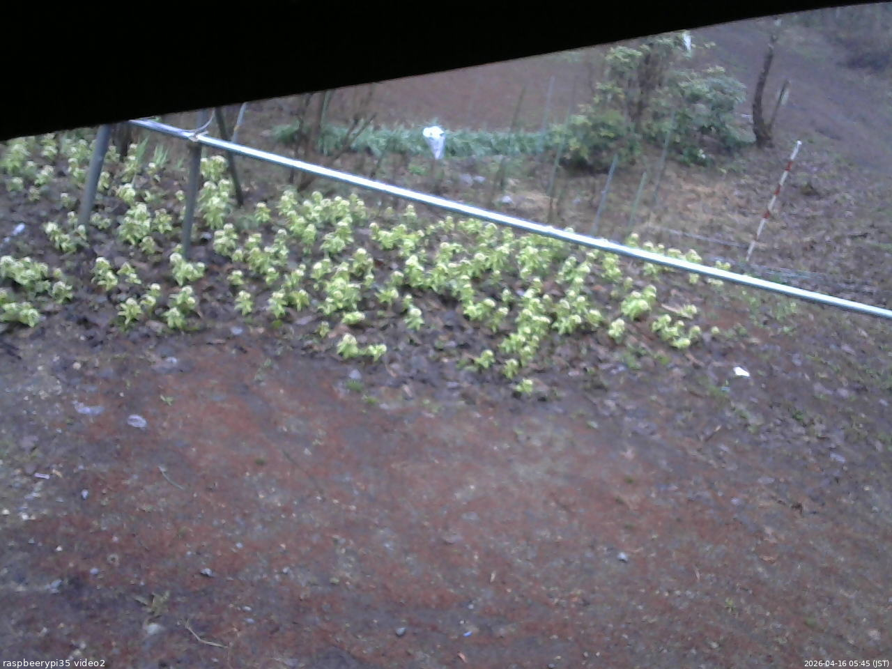 長野県菅平高原 ゆたか山荘 駐車場 2026/04/16 05:45