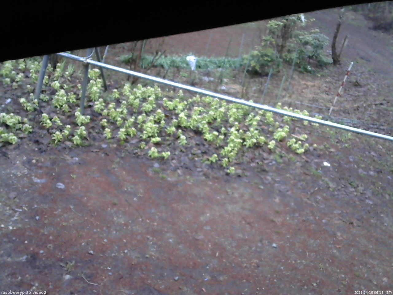 長野県菅平高原 ゆたか山荘 駐車場 2026/04/16 06:15