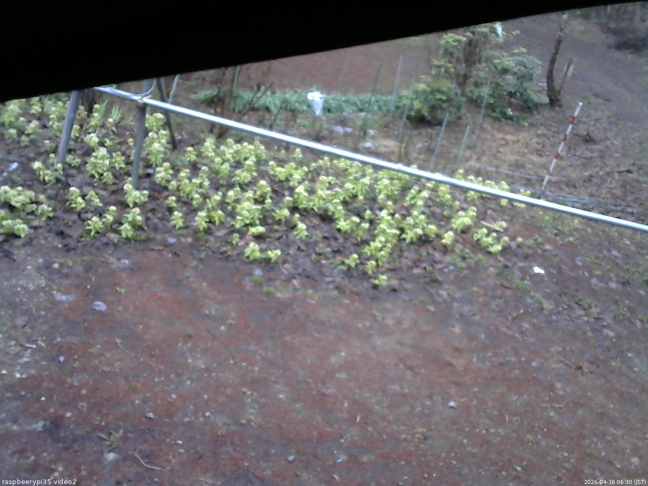 長野県菅平高原 ゆたか山荘 駐車場 2026/04/16 06:30
