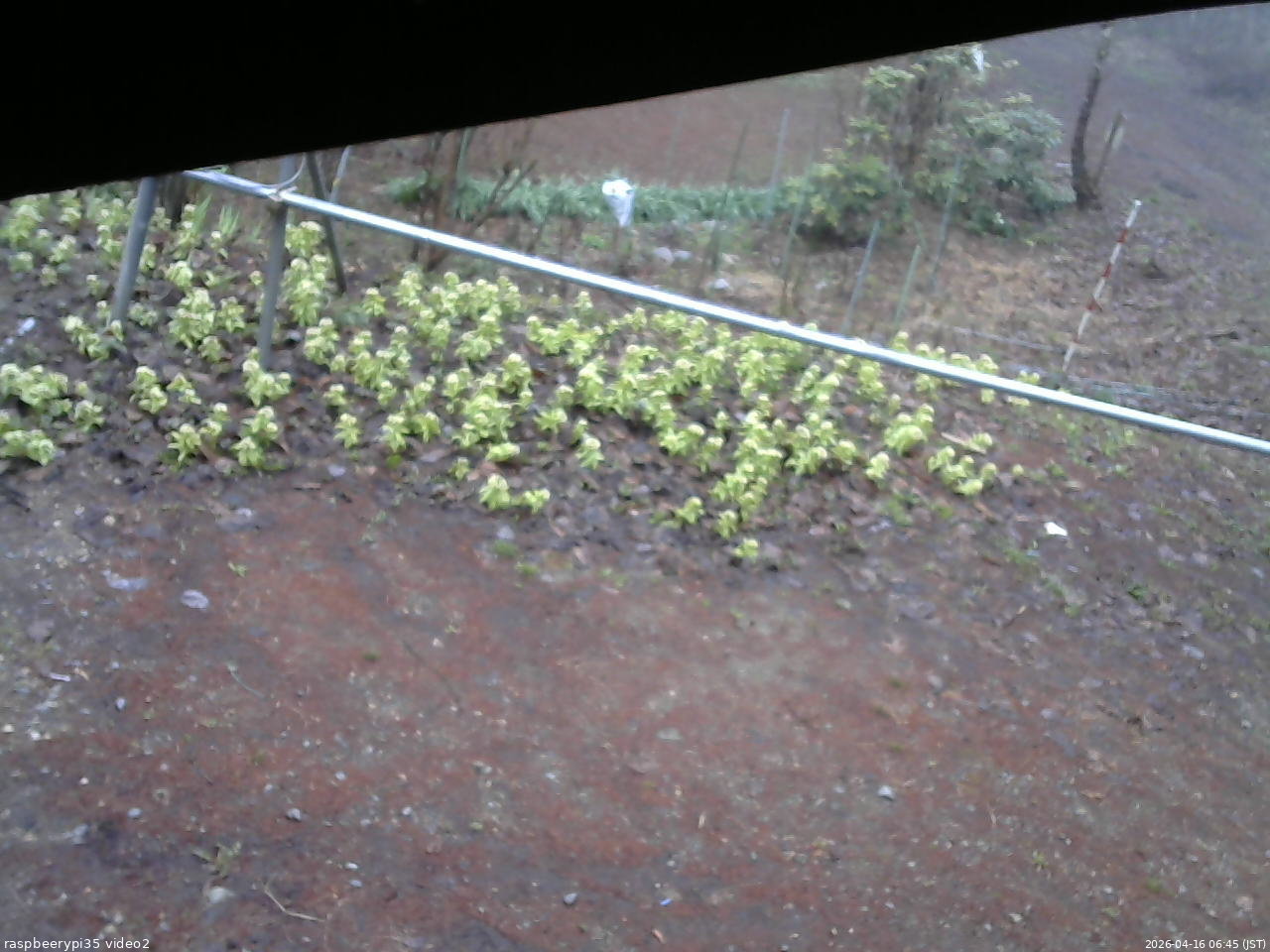 長野県菅平高原 ゆたか山荘 駐車場 2026/04/16 06:45