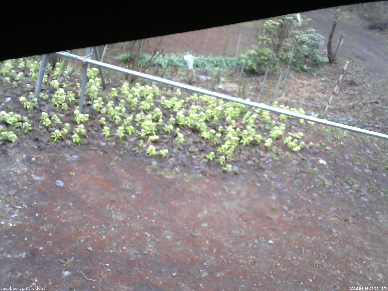 長野県菅平高原 ゆたか山荘 駐車場 2026/04/16 07:00