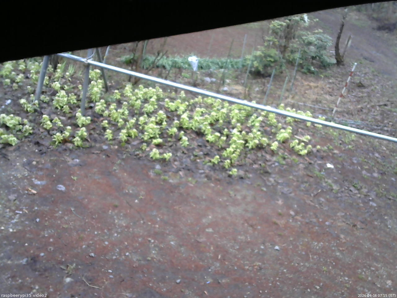 長野県菅平高原 ゆたか山荘 駐車場 2026/04/16 07:15