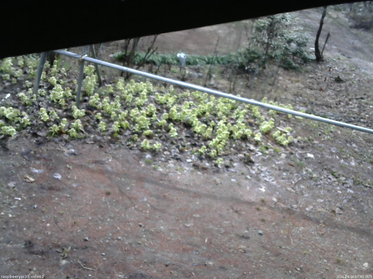 長野県菅平高原 ゆたか山荘 駐車場 2026/04/16 07:45