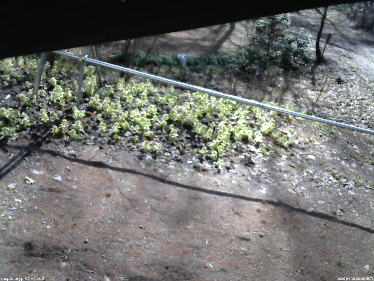 長野県菅平高原 ゆたか山荘 駐車場 2026/04/16 08:00