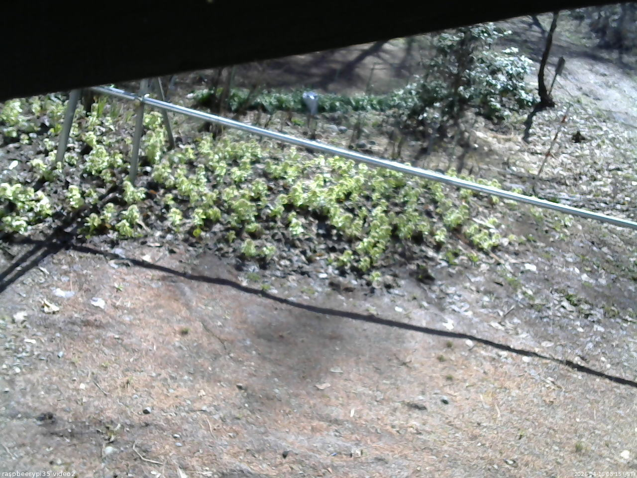 長野県菅平高原 ゆたか山荘 駐車場 2026/04/16 08:15