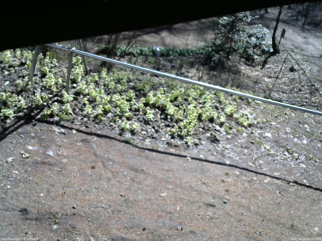 長野県菅平高原 ゆたか山荘 駐車場 2026/04/16 08:30