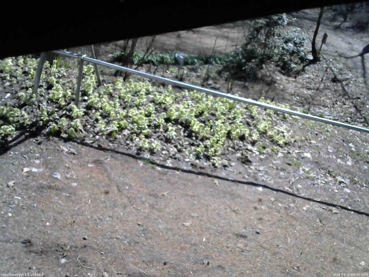長野県菅平高原 ゆたか山荘 駐車場 2026/04/16 08:45