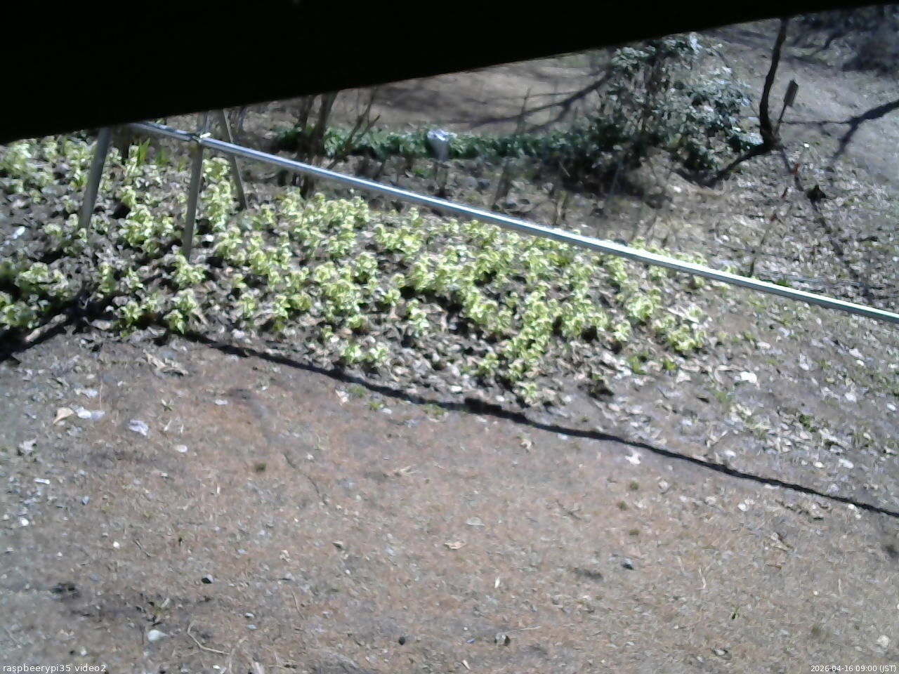 長野県菅平高原 ゆたか山荘 駐車場 2026/04/16 09:00